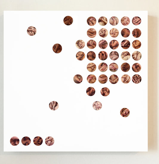 Diana Schmertz - Echelon