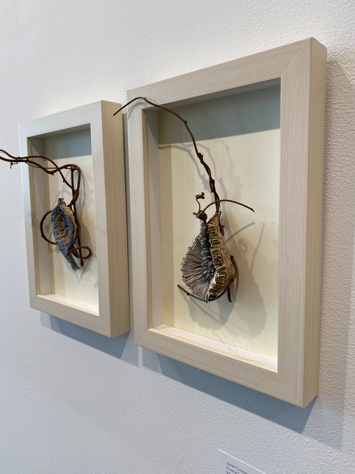 Jaynie Crimmins - Invasive Species #8