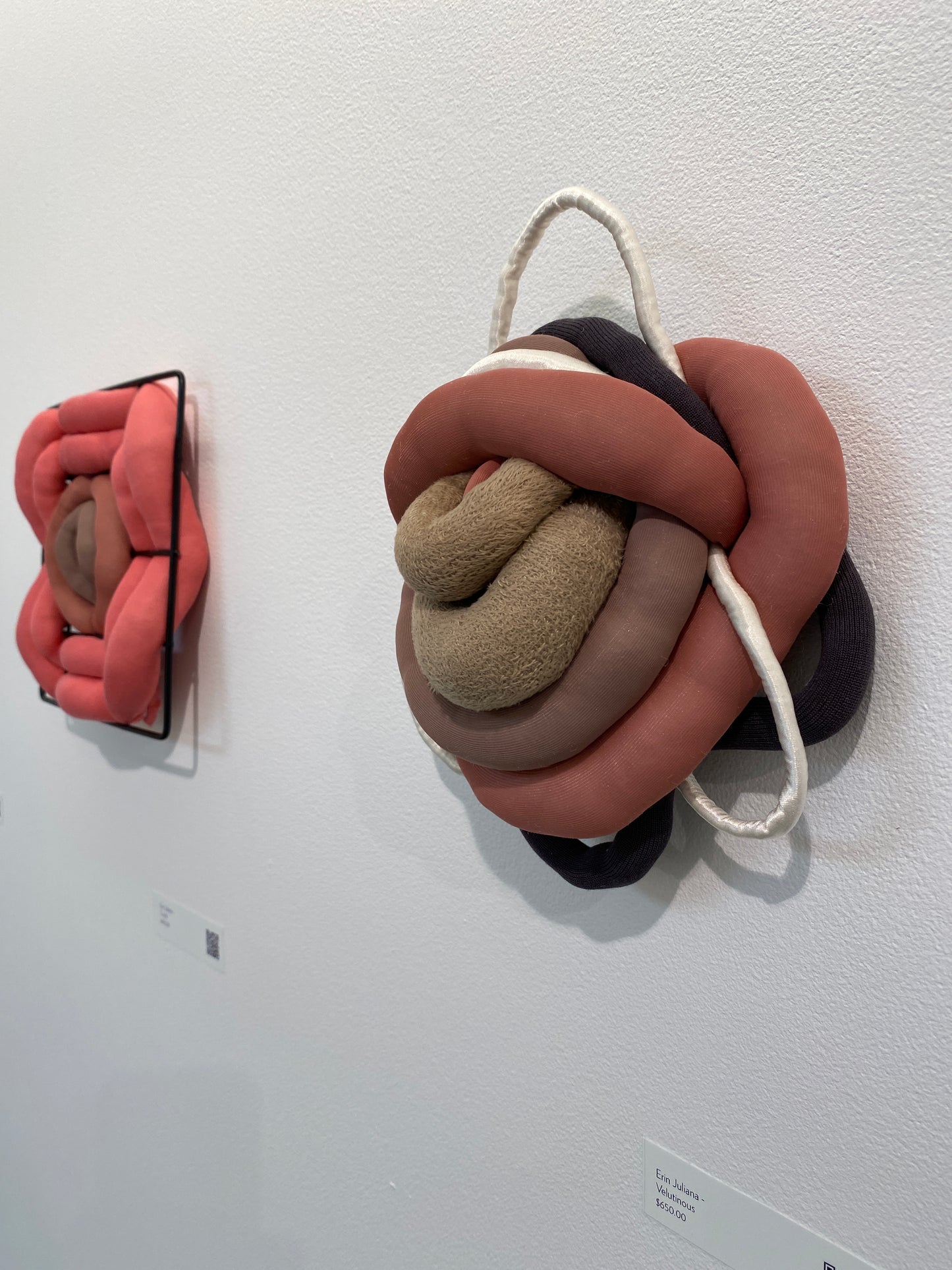 Erin Juliana - Velutinous