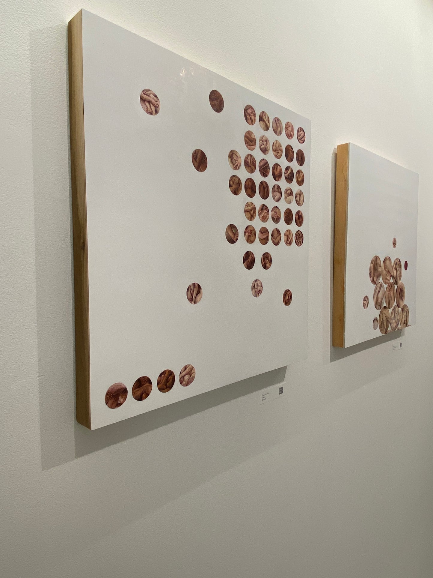Diana Schmertz - Echelon
