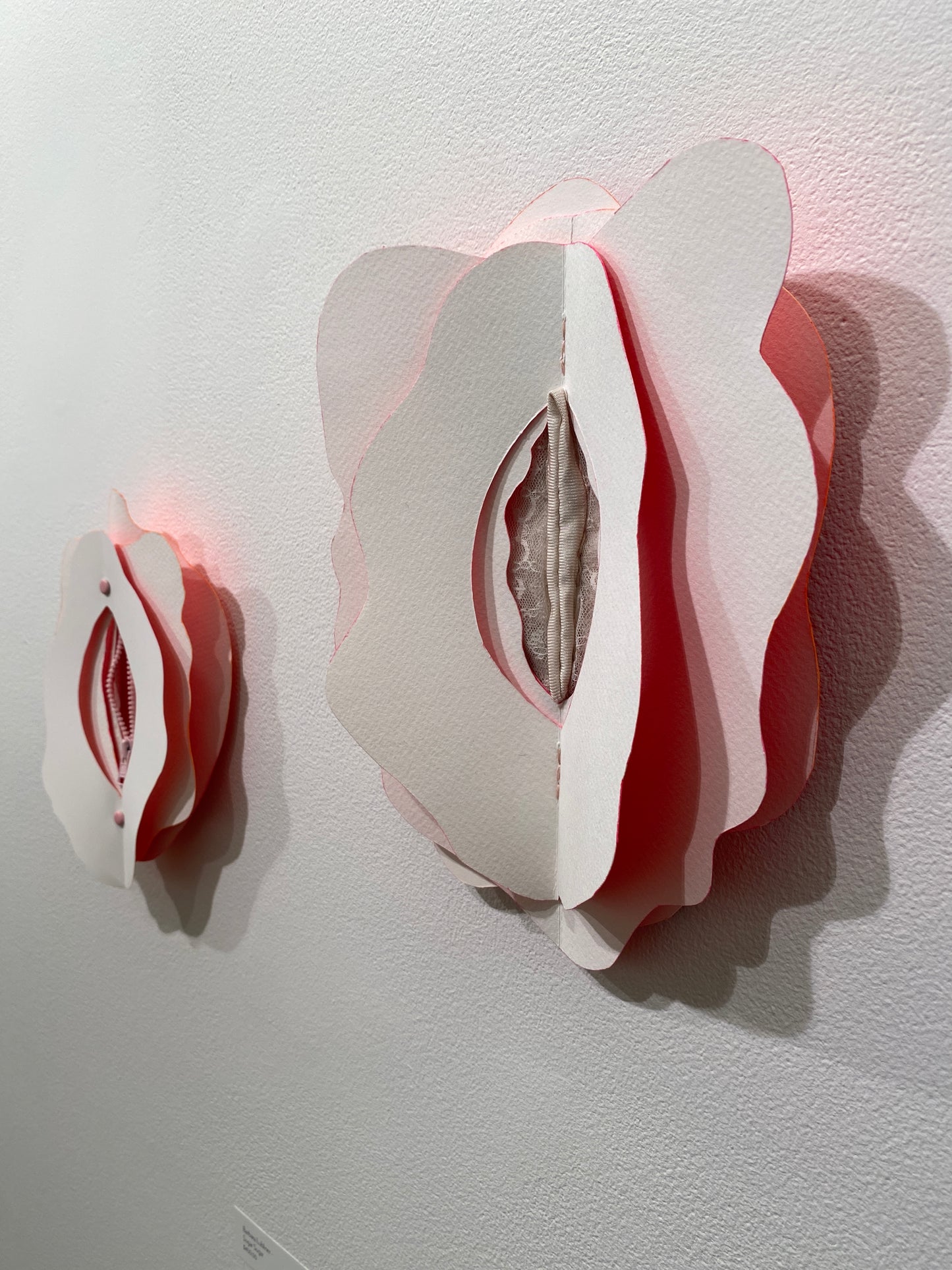 Barbara Lubliner - Lacy