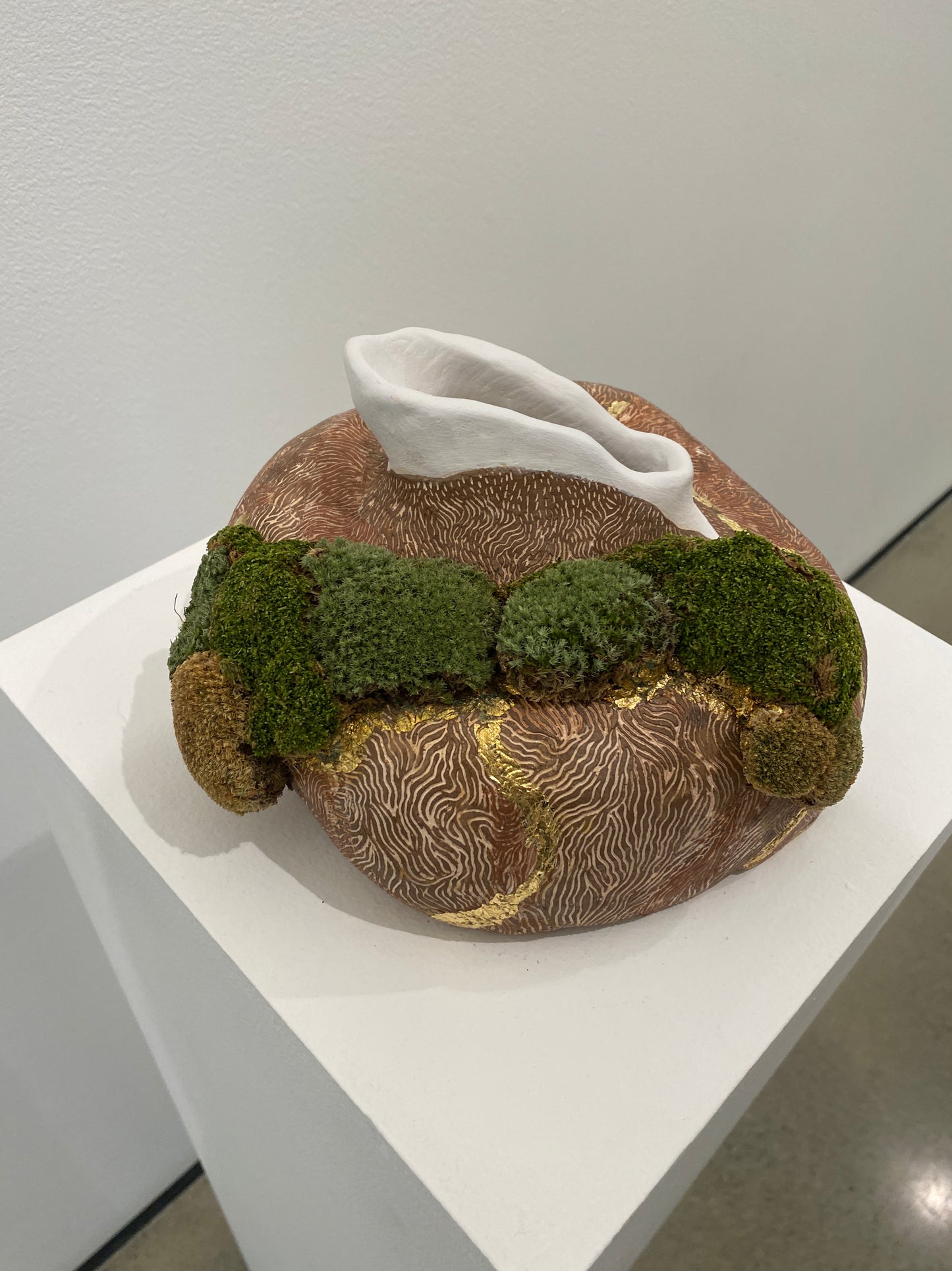 Michela Martello - Ancestor Upper Trail