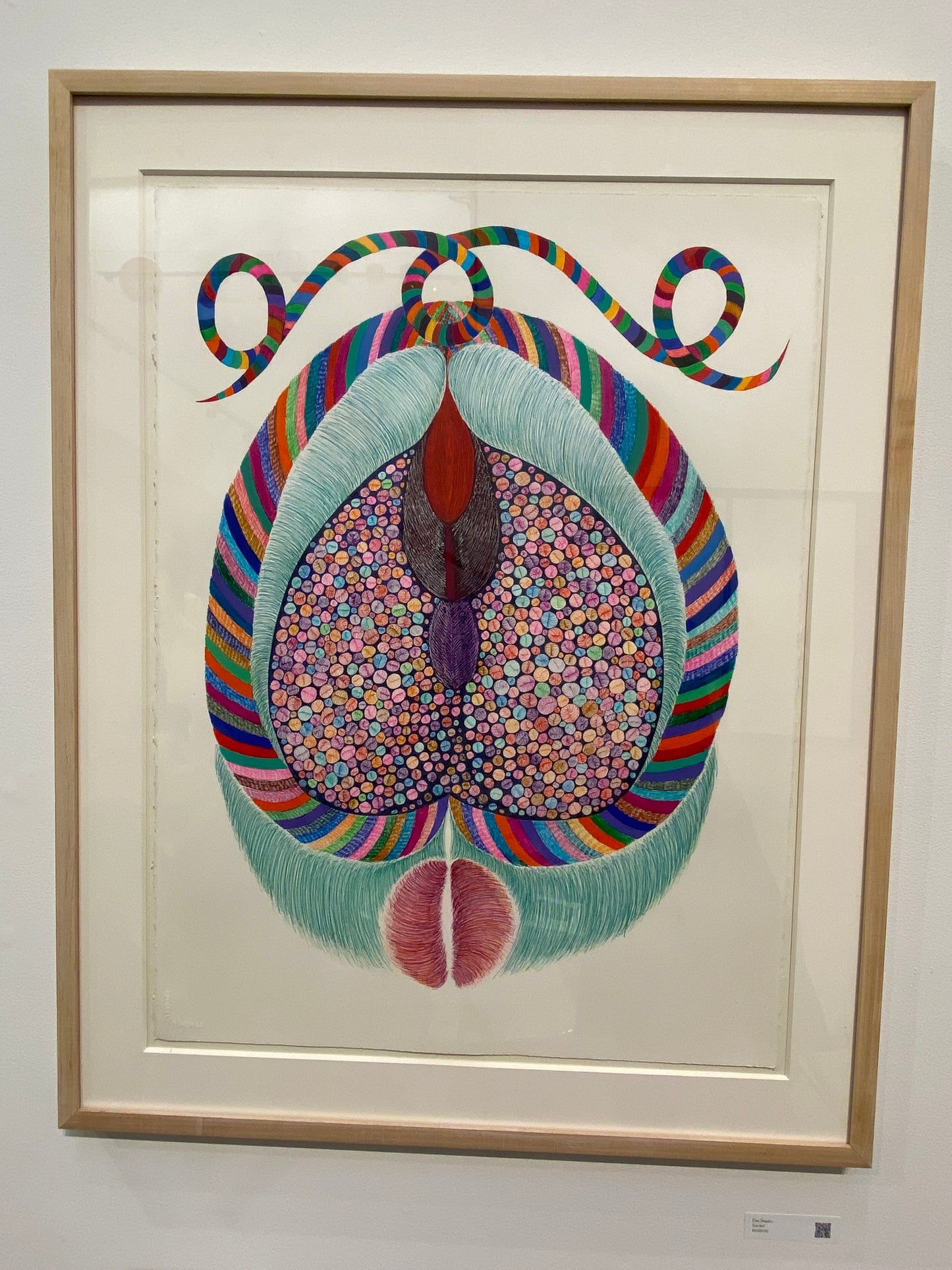 Dee Shapiro - Seeded